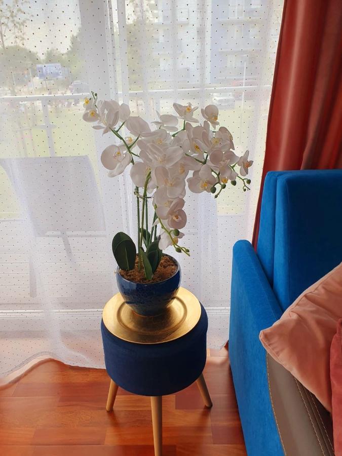 Apartament Comfort I Kołobrzeg Buitenkant foto